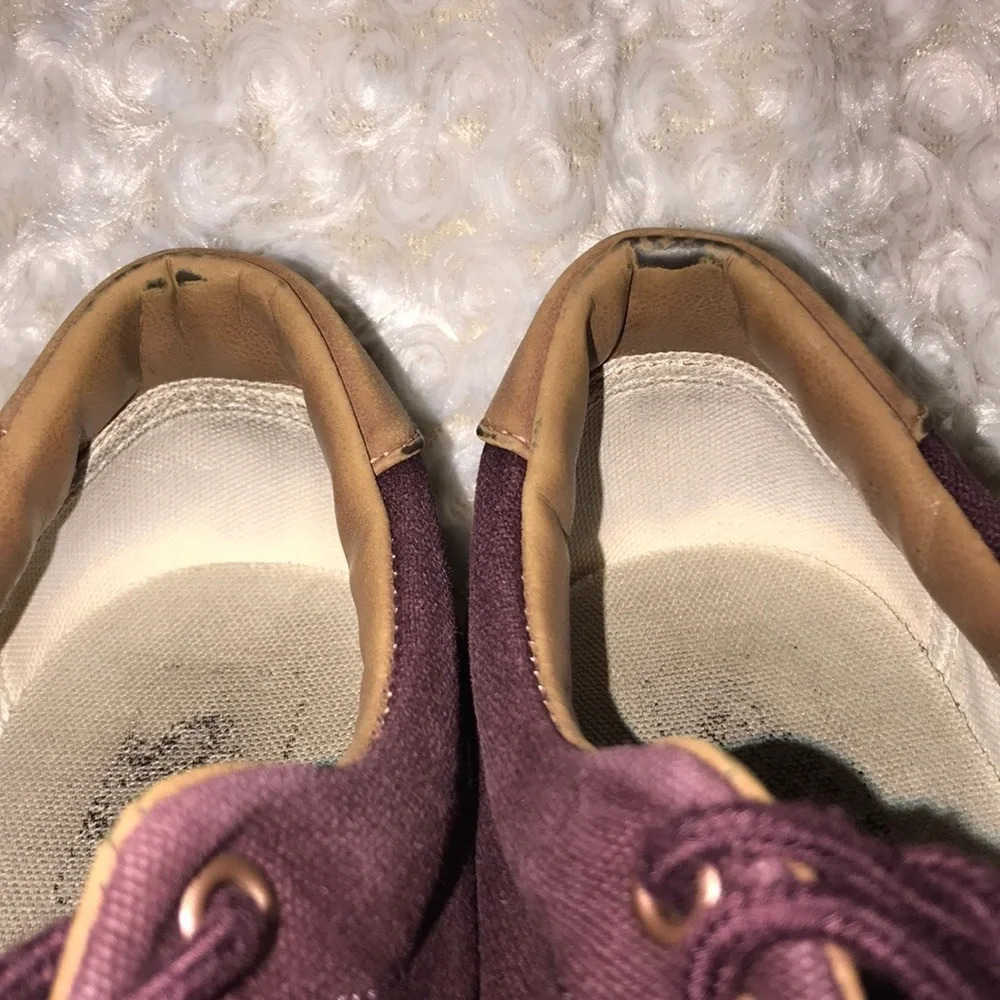 Vans - Picture 6 of 6
